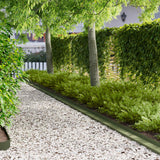 Vidaxl gazonrand 20 st 100 x 10 x 8 cm staal olijfgroen