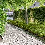 Vidaxl gazonrand 30 st 100 x 10 x 8 cm staal zilverkleurig
