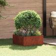 Vidaxl gazonrand 60 x 60 x 35 cm staal roestig