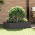 Vidaxl gazonrand 100 x 60 x 35 cm staal zwart