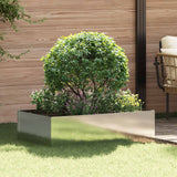 Vidaxl gazonrand 100 x 60 x 35 cm staal zilverkleurig