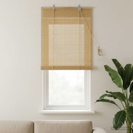 Vidaxl rolgordijn naturel 60 x 160 cm bamboe