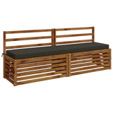 Vidaxl 2-delige bankkussens soest 2 st 100% polyester antraciet