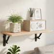 Vidaxl wandplankbeugels 12 st zwart 10 x 10 x 3 cm staal