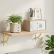 Vidaxl wandplankbeugels 2 st antiek wit 14 x 14 x 4 cm staal