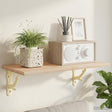 Vidaxl wandplankbeugels 2 st antiek wit 21,5 x 21,5 x 3,5 cm staal