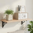 Vidaxl wandplank beugels 2 st zwart 12 x 14 x 3 cm staal