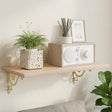 Vidaxl wandplank beugels 2 st antiek wit 12,5 x 17 x 3 cm staal