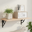 Vidaxl wandplank beugels 12 st zwart 21 x 21 x 3.5 cm staal