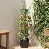 Vidaxl tomatenkweker zwart ø 32 x 127 cm pp