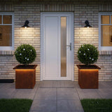 Vidaxl plantenbak met led 2 st roestkleurig 30 x 30 x 30 cm