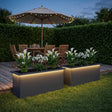 Vidaxl plantenbak met led 2 st antraciet 30 x 100 x 30 cm staal