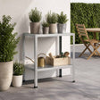 Vidaxl planttafel 80 x 50 x 80 cm gegalvaniseerd staal zilver