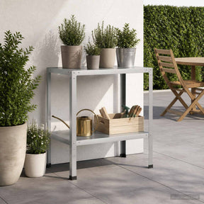Vidaxl planttafel 80 x 50 x 80 cm gegalvaniseerd staal zilver