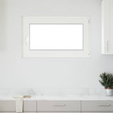 Vidaxl kleur binnenkant kelderraam wit risor 100 x 60 cm