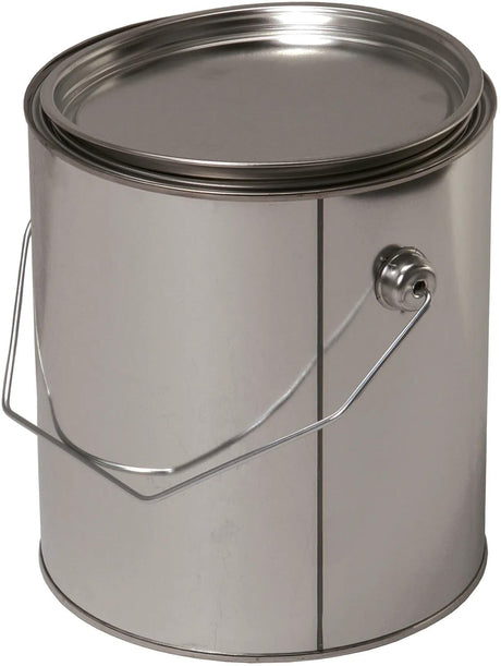 Mipa lege verpakkingen empty cans 3 ltr. m.cover