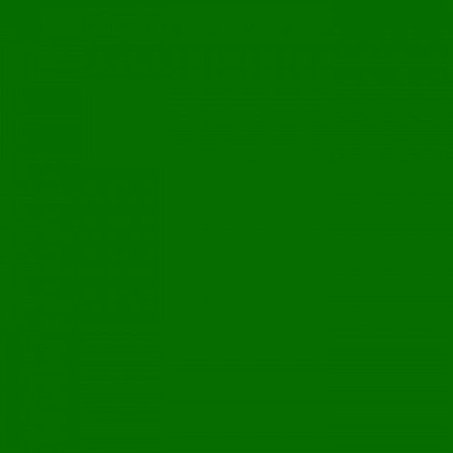 Fotokarton 25vel 70x50cm 300gr. grasgroen