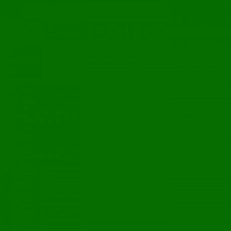 Fotokarton 25vel 70x50cm 300gr. grasgroen