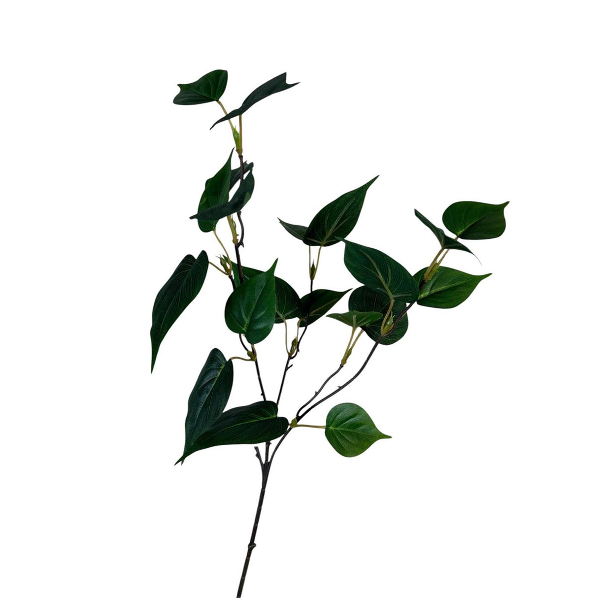 Roberts collection kunsttak sgindapsusblad groen 55cm