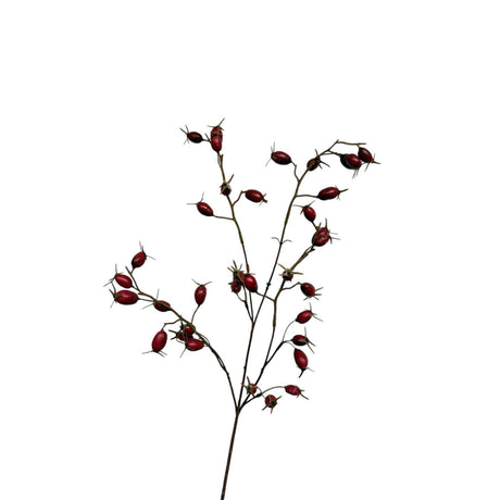 Roberts collection rozenbottels 76cm burgundy