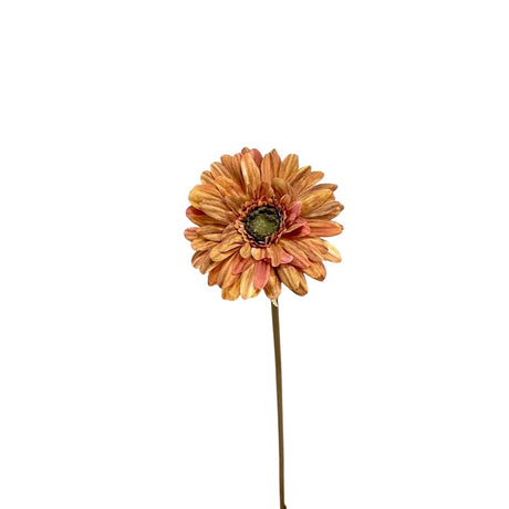 Roberts collection gerbera 50cm oranje