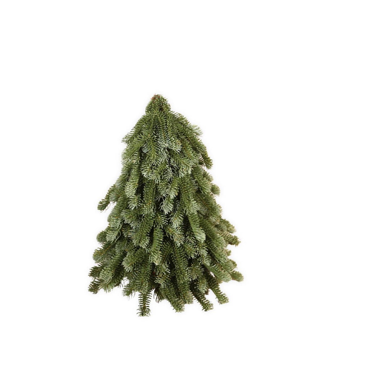 Roberts collection kunstboom nobilis groen 50cm
