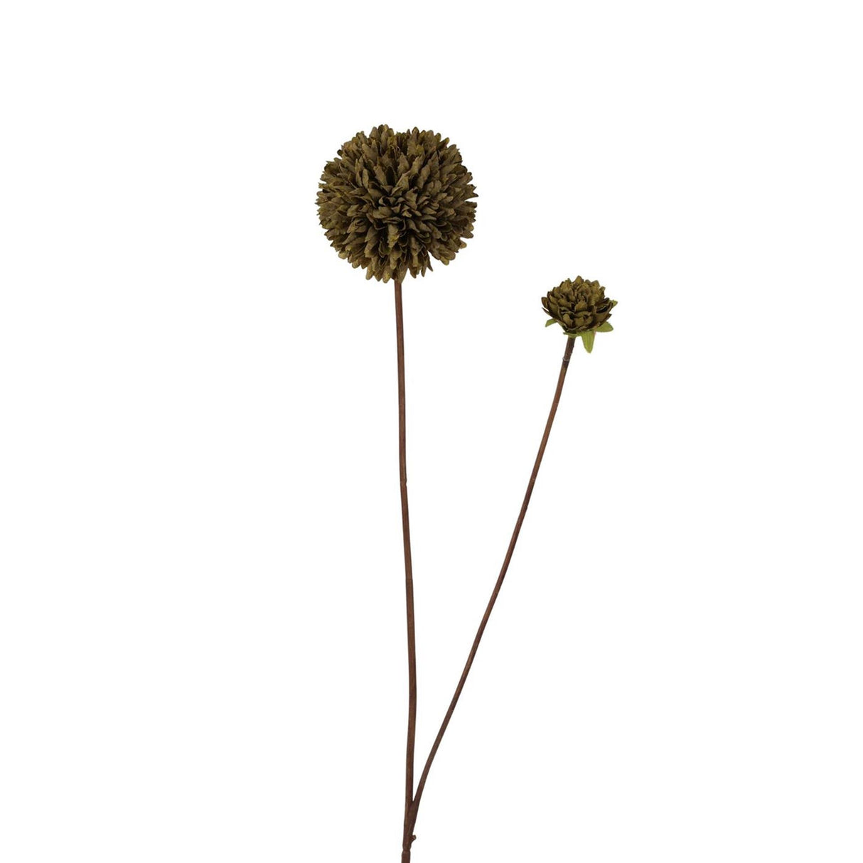 Roberts collection pompom 66cm dark green