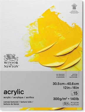 Winsor newton acrylic papier 31x41