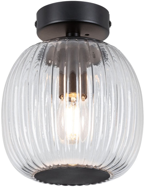 Paulmann led-plafondlamp ruya ip44 e14 230v max. 20w dimbaar glas, zwart mat