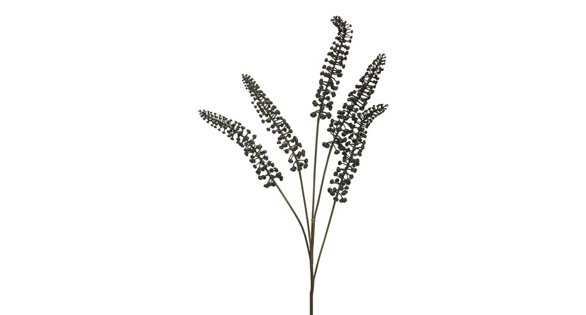 Phytolacca black 93cm
