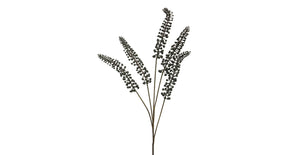 Phytolacca black 93cm