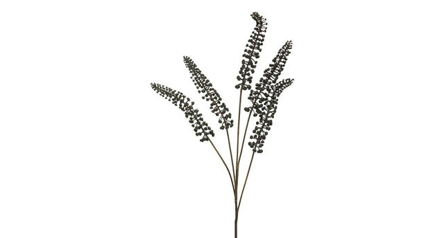 Phytolacca black 93cm
