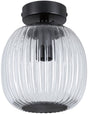 Paulmann led-plafondlamp ruya ip44 e14 230v max. 20w dimbaar glas, zwart mat