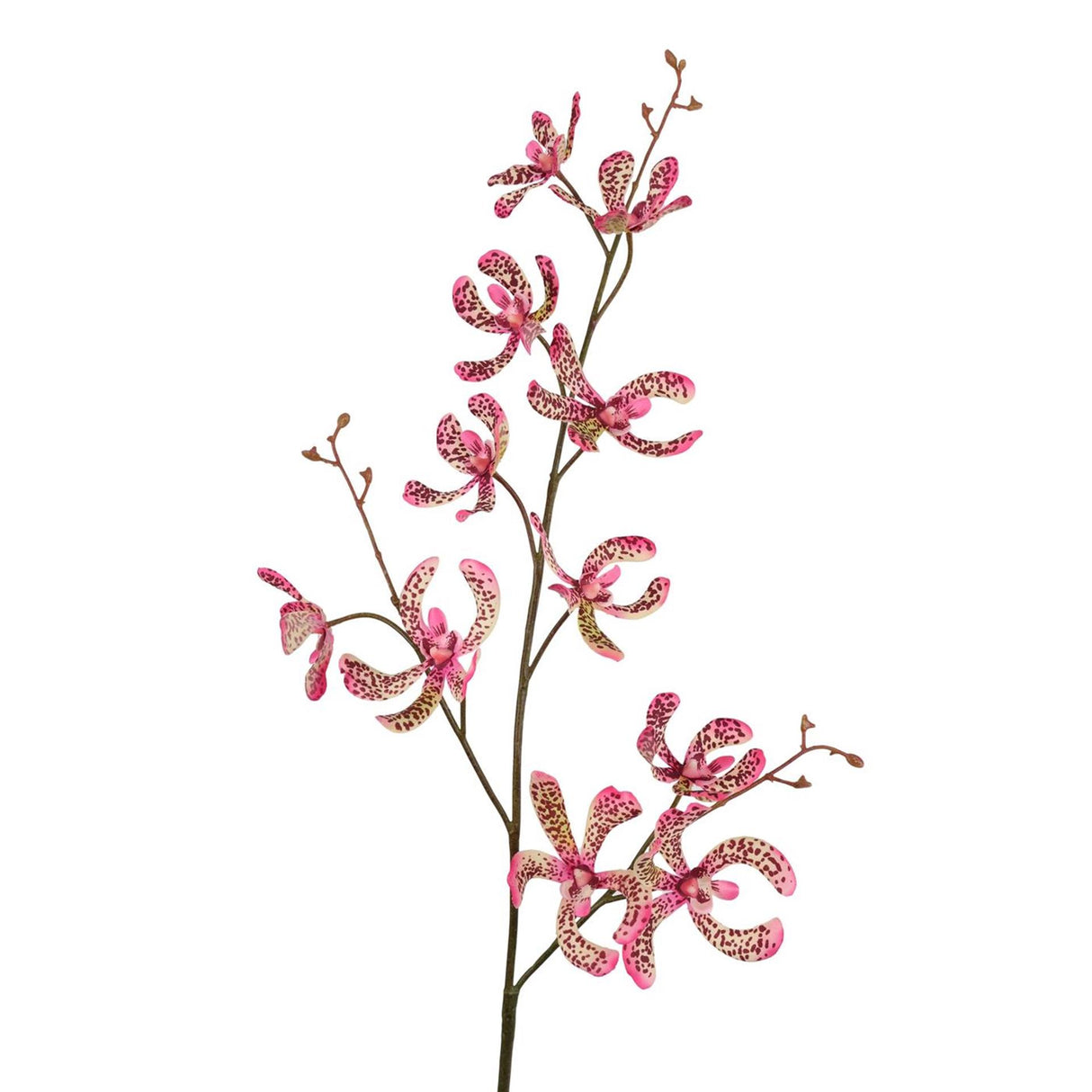 Roberts collection kunsttak orchidee vanda groen roze 106cm
