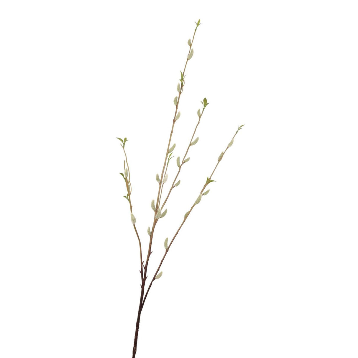Roberts collection kunsttak katjes crã¨me 114cm