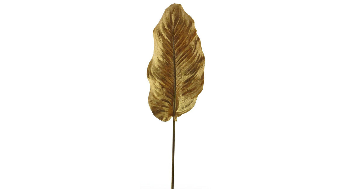 Hosta leaf old gold 99cm