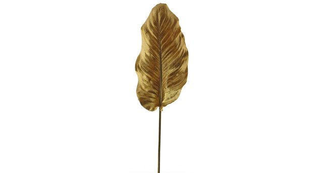 Hosta leaf old gold 99cm