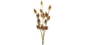 Pic pine cone k gold 32cm
