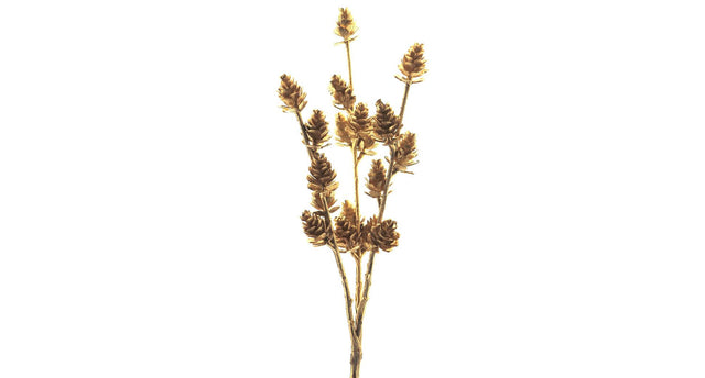 Pic pine cone k gold 32cm