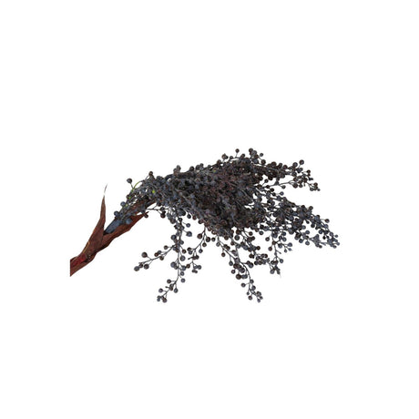 Roberts collection dadelichtak 60cm zwart