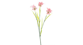 Wild cora bell spray pink 63cm