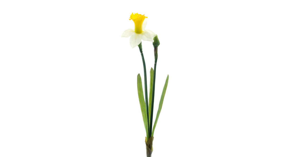 Real touch daffodil alverna spray cream yellow 52cm