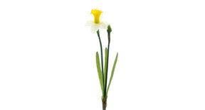 Real touch daffodil alverna spray cream yellow 52cm