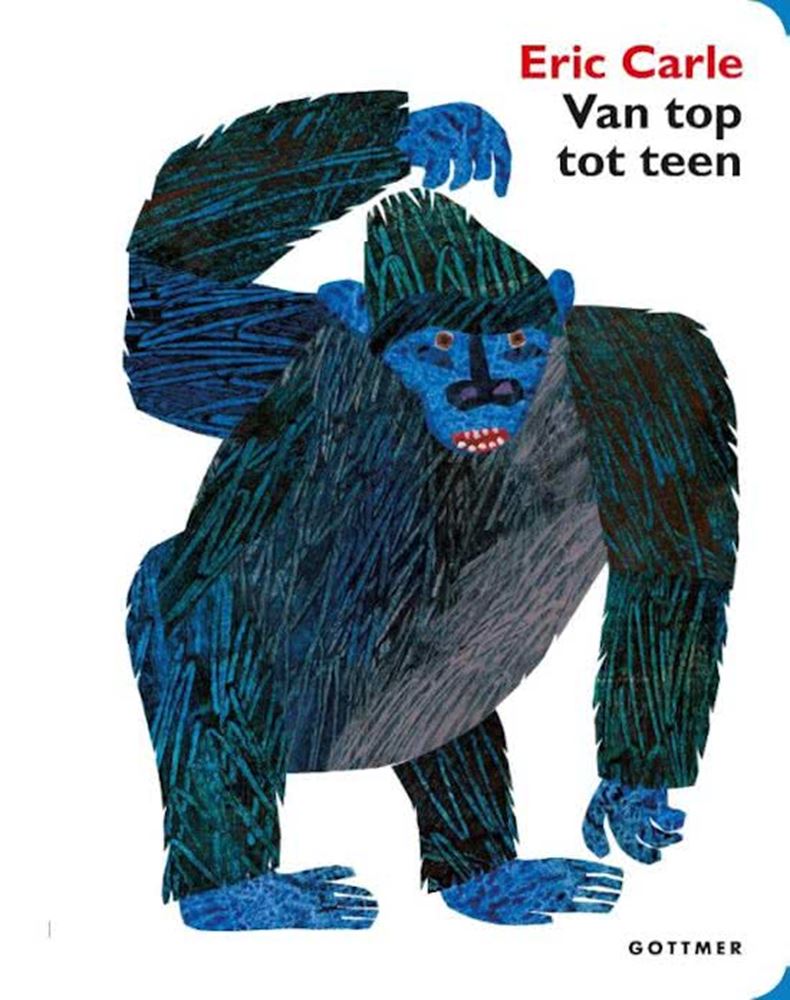 Gottmer uitgevers groep van top tot teen (karton). 3+