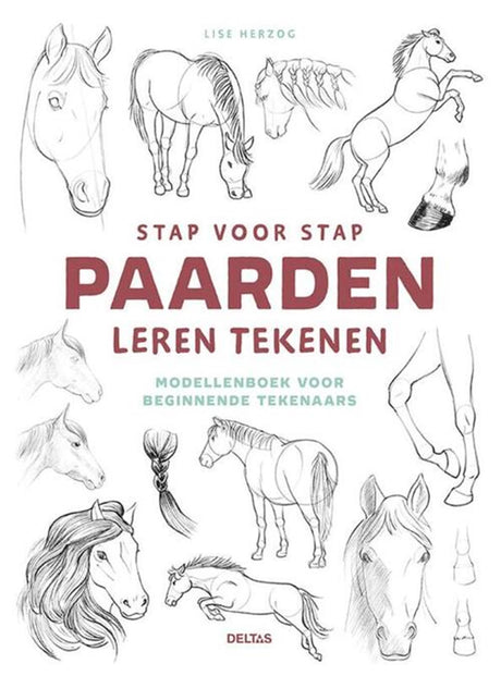 Deltas stap voor stap paarden leren tekenen