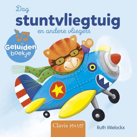 Dag stuntvliegtuig en andere vliegers 1+