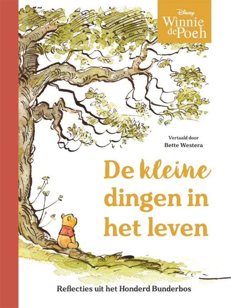 Winnie de poeh. de kleine dingen van het