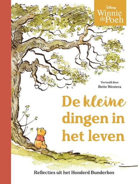 Winnie de poeh. de kleine dingen van het