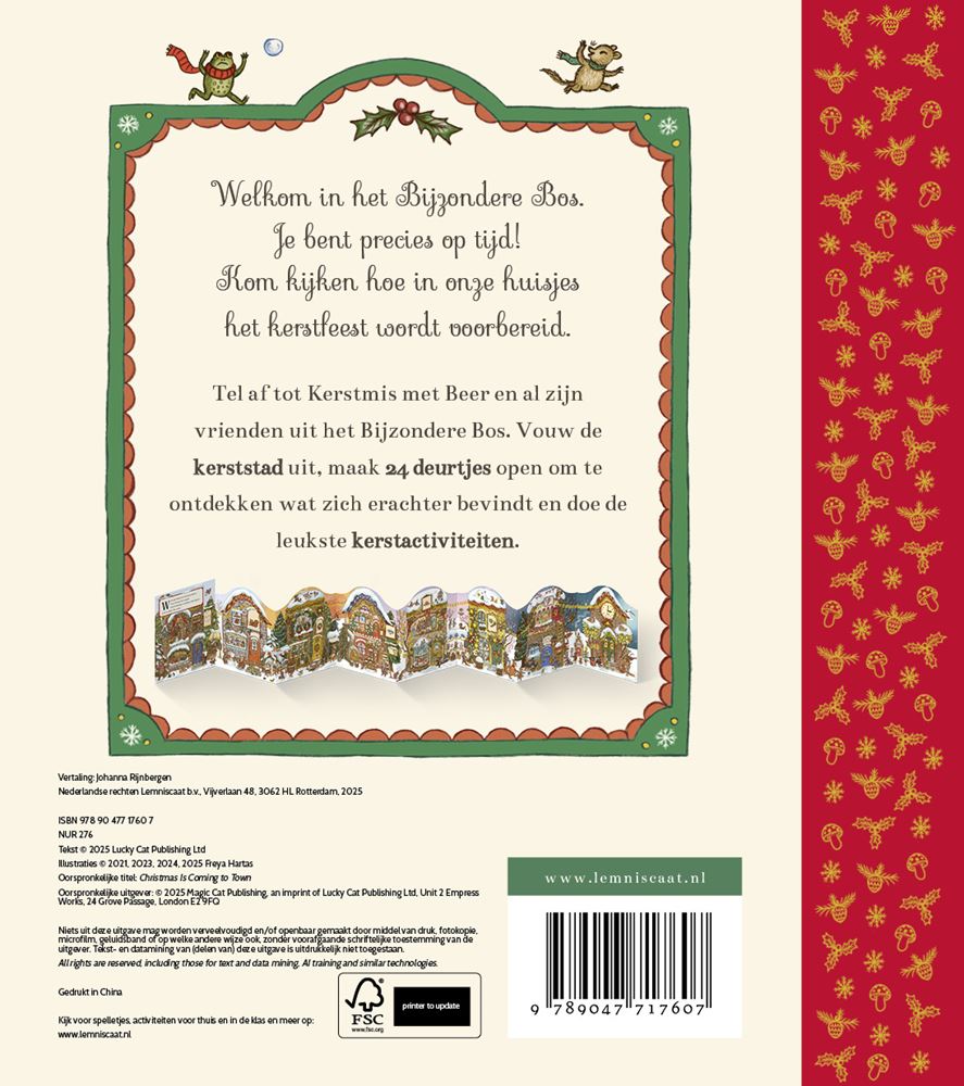 Prentenboek: kerstfeest in de stad 4+ | 2 stuks