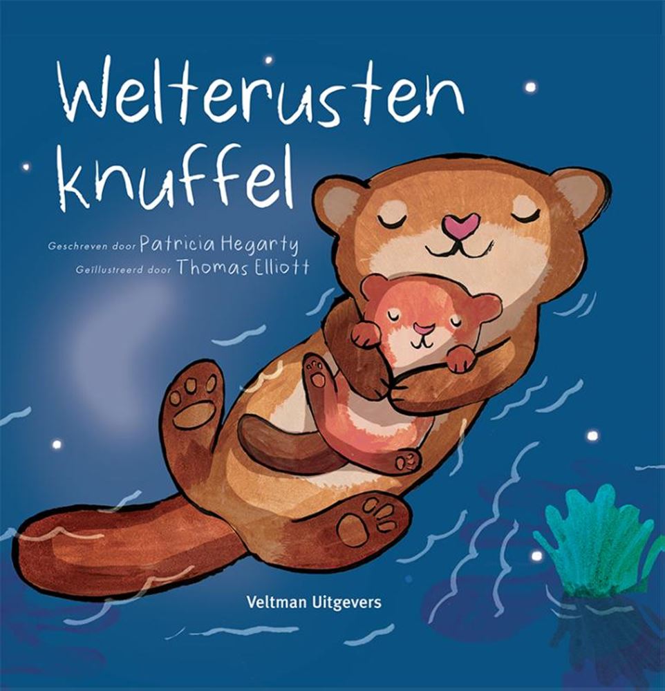 Kartonboek: welterustenknuffel 1+ | 2 stuks